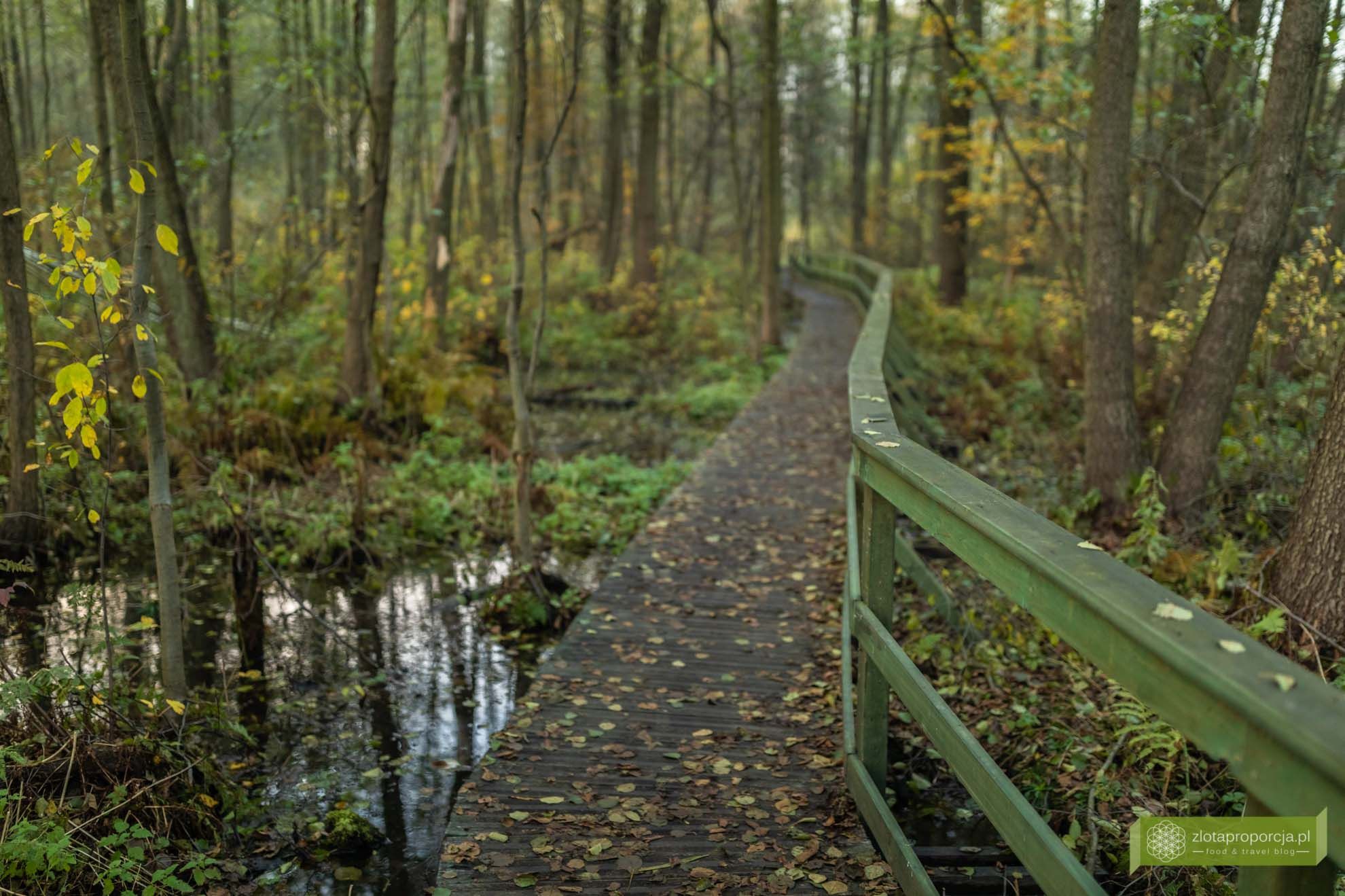 BAGNO_CALOWANIE_MAZOWSZE-5533.jpg