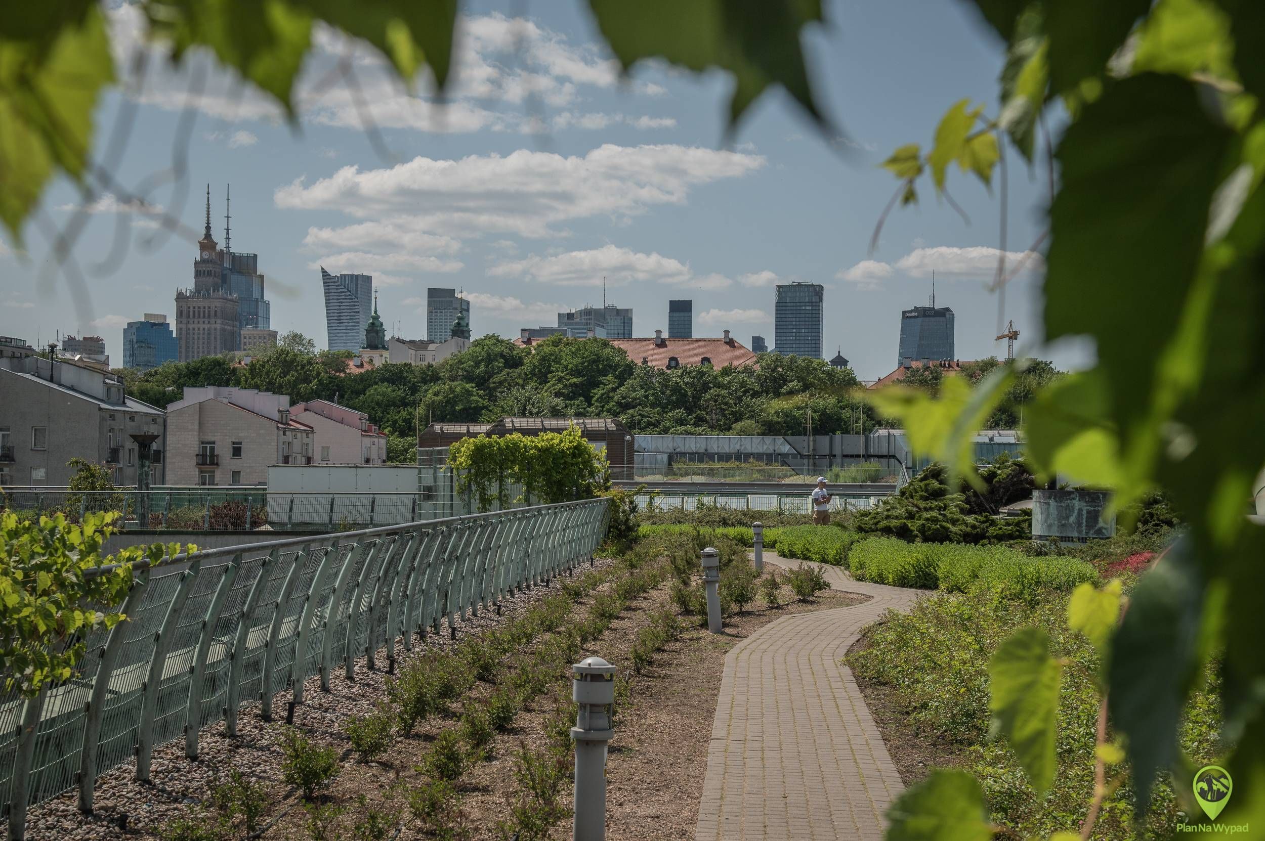 ogrody-na-dachu-warszawa-17.jpg